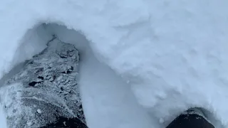 Рязанцам рассказали, что в школах хотят ввести новый предмет, во время которого детей будут отучать материться