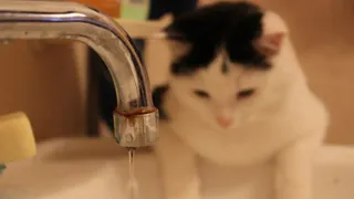 Список адресов: в Песочне частично отключат водоснабжение