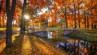 16 сентября в Рязанской области ожидается до +20 градусов