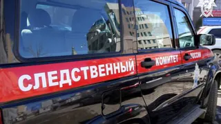 В Чувашии возбуждено дело об истязании опекаемого мальчика