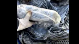 Иностранец: в Рязани задержали наркокурьера с килограммом героина