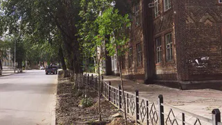 В Сыктывкаре ведется планомерная работа по озеленению города