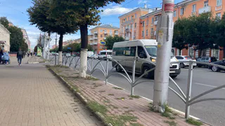 Мэрия Рязани рассказала о планах по озеленению города