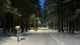 В Челябинской области 16 декабря температура воздуха упадет до -24 градусов