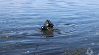 В реке Цна в Сасовском районе Рязанской области утонул мужчина
