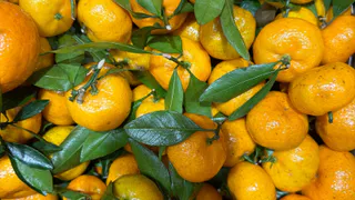 Становимся фокусниками: превращаем кислые мандарины в сладкие