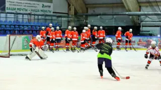 Во Владимирской области создадут команду для участия в Молодежной хоккейной лиге