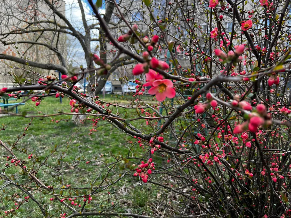 «Скоро будет тепло»: народные приметы на 25 марта 2025 года - Феофанов день