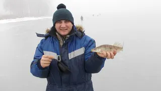 Нижнекамец обвиняет врачей в смерти племянника