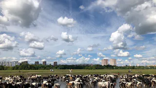 Чем мы дышим? В Рязани выявили превышения ПДК сероводорода