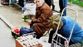 Садоводам объяснили, как не платить налог с проданного урожая