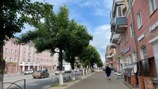 «Опять всё перекрыли»: рязанцы недовольны ограничением движения у Цирка из-за Масленицы