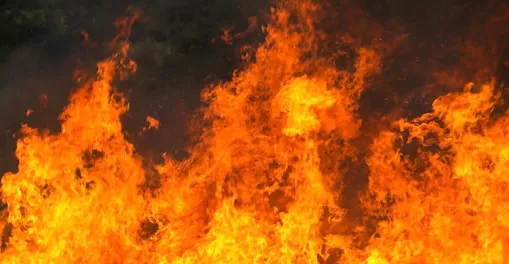 Пожарные Владимирской области ликвидировали возгорание в Александровском районе
