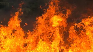 Пожарные Владимирской области ликвидировали возгорание в Александровском районе