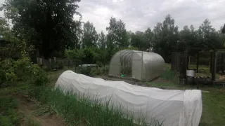 Три ложки на кучу, и перегниют даже ветки и куриные кости: компост без всяких хлопот — земля будет как пуховая перина