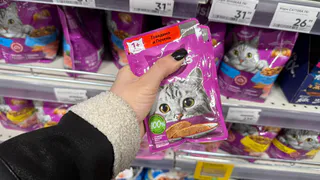 Не вздумайте брать: в Роскачестве озвучили худшие корма для кошек - не травите животных
