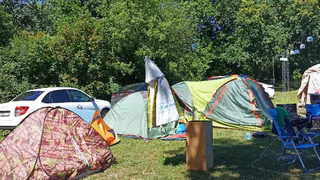 Клещи гибнут за секунду: копеечное средство защищает лучше всех магазинных аэрозолей