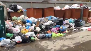 В Дашково-Песочне уже две недели не вывозят мусор
