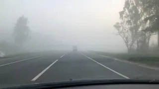 10 августа в Рязанской области ожидается туман и до +25