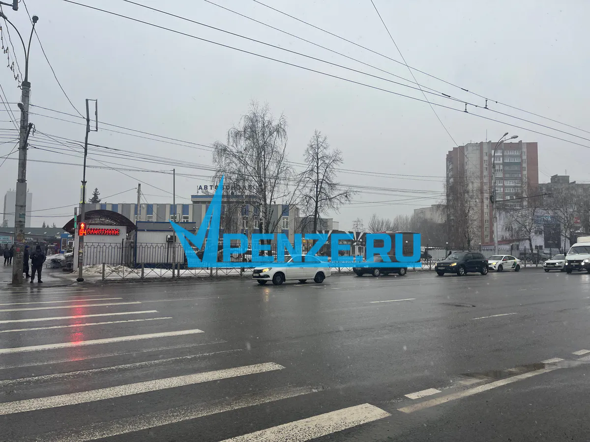 Из-за неясности формулировок в законе ведение нового штрафа для пензенских водителей решили отложить