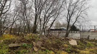 Экологи добились своего: суд приказал ликвидировать свалку в Нижнекамске