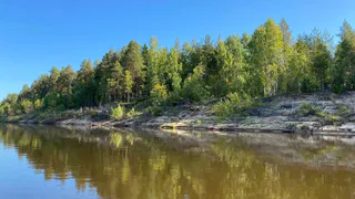 На Южном Урале волонтеры очистили около двух тысяч километров берегов от мусора