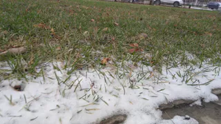 19 октября в Рязанской области ожидается гололедица и -1