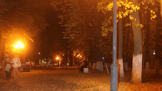 Памятники на центральных улицах Рязани заиграют красками