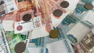 В Коми сократилось число юридических лиц