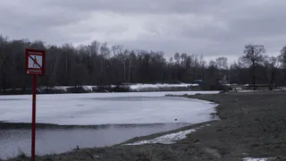 В ночь со среды на четверг, в Рязани похолодает до -8 градусов: прогноз погоды на четверг