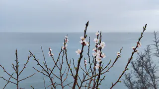 Ближе Дубая, чище Байкала, дешевле Тая: морской курорт в РФ, где не стыдно провести отпуск