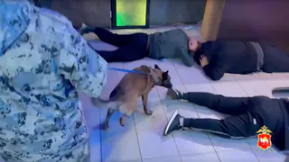 Ночной клуб в Магнитогорске оказался под пристальным вниманием правоохранительных органов из-за многочисленных жалоб горожан