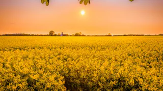 Лето возвращается -  рязанцев ждет жаркая рабочая неделя