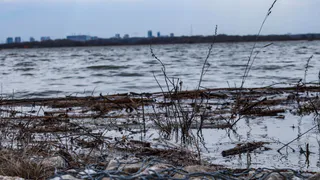 Половодье: уровень воды в реках Рязанской области снижается