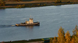 Зима в России официально отменяется: синоптик поделился прогнозом, будет ли снег на Новый год