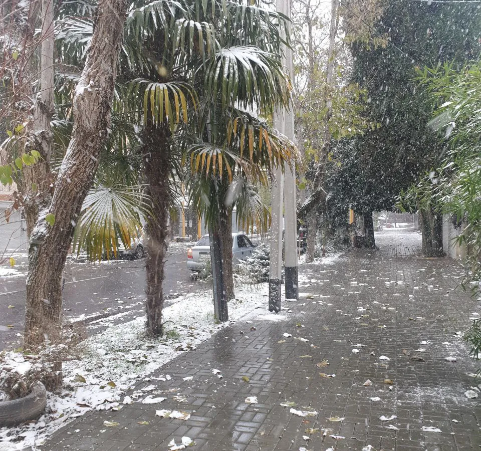 Синоптики удивили жителей страны: зимние месяцы, по их прогнозам, принесут сплошные аномалии