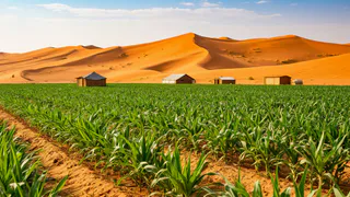 Как Китай научился собирать урожаи в пустыне для наших магазинов: вот в чем фишка китайского бизнеса