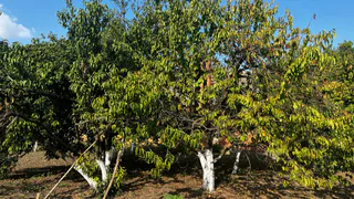 Март на даче: что немедленно следует сделать огородникам и садоводам в первый месяц весны, рассказал эксперт