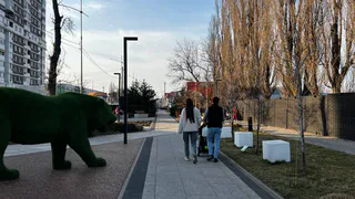 Гении среди нас: определены 3 самых умных знака Зодиака - проверьте, есть ли вы в списке