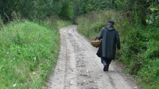 Найден, жив: в полиции рассказали о поисках пропавшего 75-летнего грибника