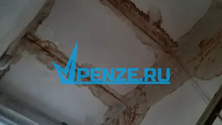 Несмотря на обещания Минздрава, Пачелмская районная больница трещит по швам и продолжает гнить