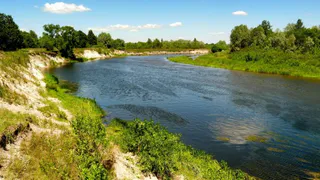Брянские следователи рассказали подробности гибели девушки в Сураже