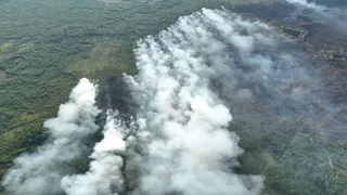 Глава Рослесхоза заявил, что в Рязанской области горит не торф