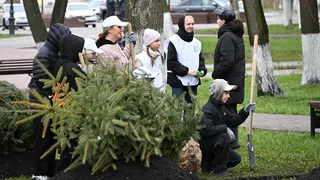 В день старта акции «Зеленая Пенза 2026» высажено 70 деревьев