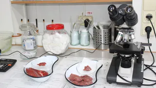 В Чувашии проверили 30 тысяч проб мяса на трихинеллёз