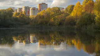 Во Владимире благоустроят Соловьиный пруд, привокзальную площадь и Старые сады