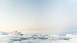 Как предсказывали погоду и урожай до Яндекс Погоды: удивительные народные приметы, которые работали без гаджетов