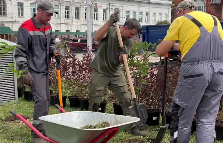 На Театральной площади во Владимире высадили сирень и гортензии