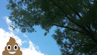 Попахивает: в Рязани берут пробы воздуха после жалоб с неприятным запахом в городе