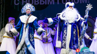 В Нижнекамске 26 декабря зажгутся огни на двух городских елках